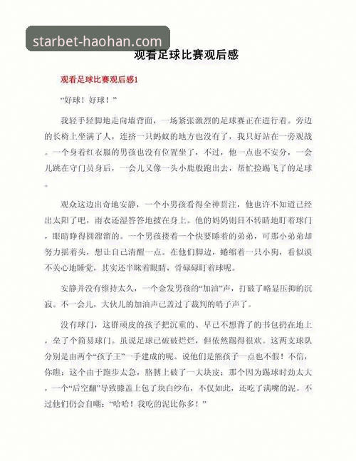 资深用户分享：尤伯杯半决赛观赛心得，浩瀚体育数据服务带你沉浸式体验比赛细节